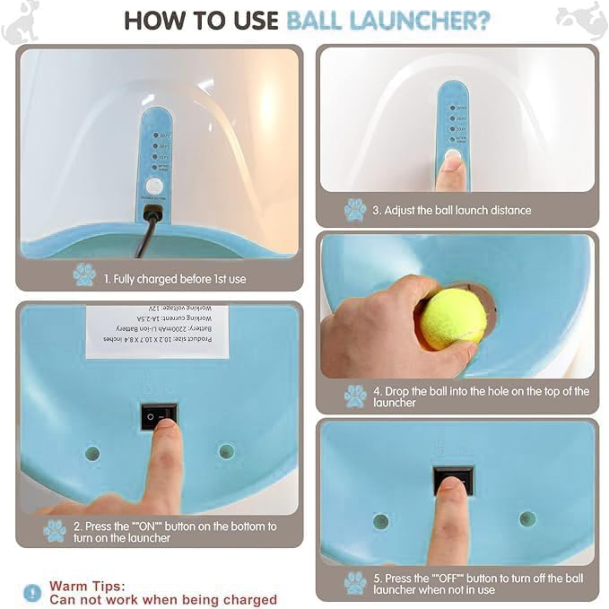 Tennis Ball Launcher Dogs