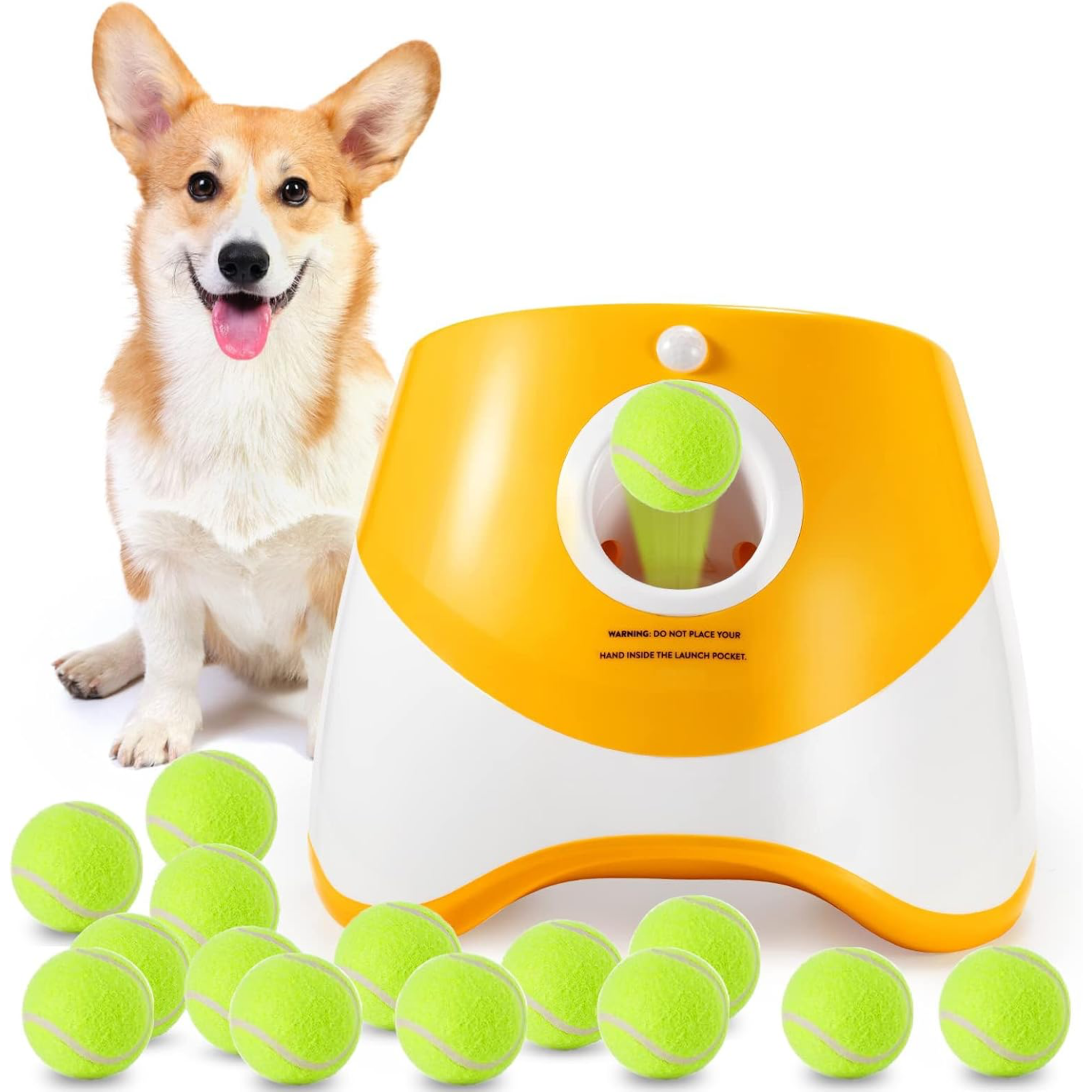 Tennis Ball Launcher Dogs