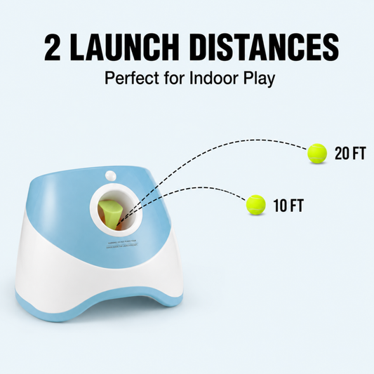 Indoor Range — 10/20 ft